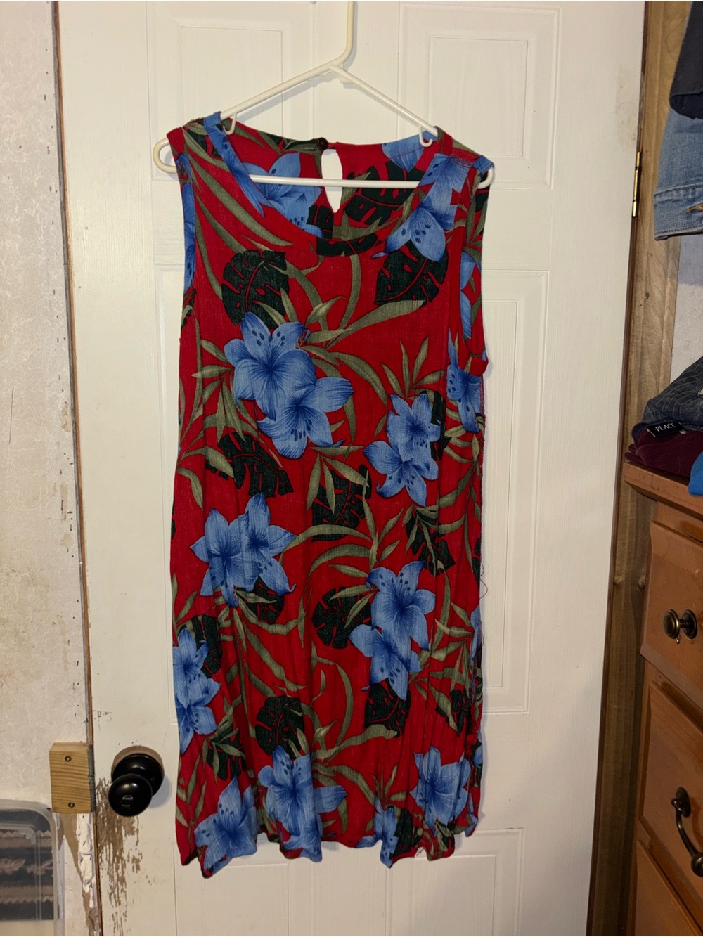 Red Floral Sleeveless Shift Dress with Blue Blooms